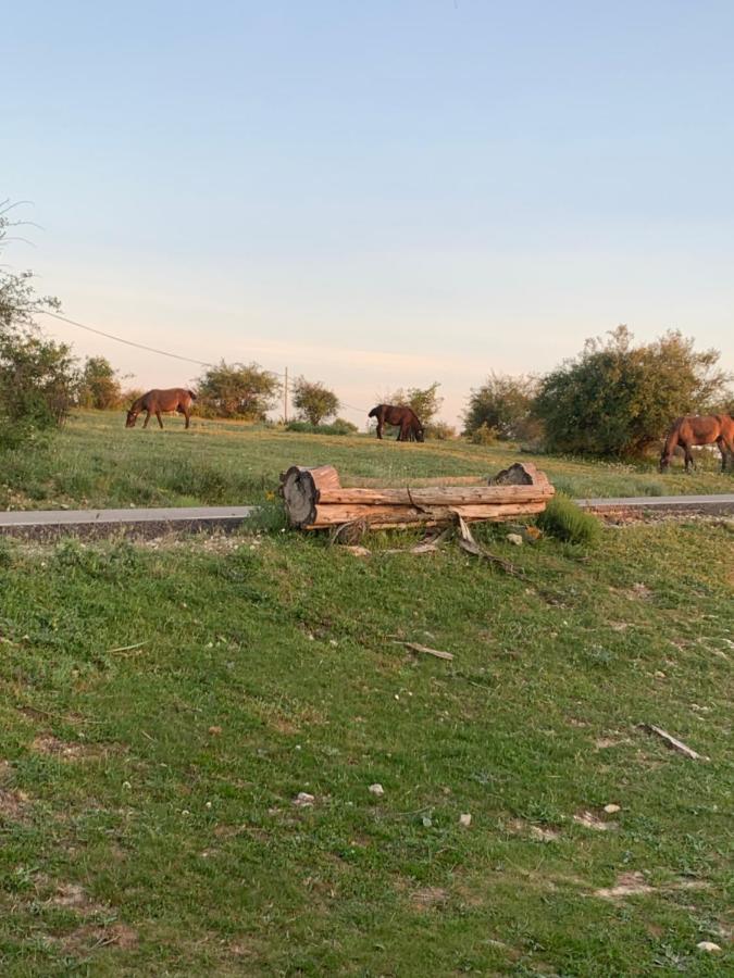 Cabanas Buenache Buenache de la Sierra ภายนอก รูปภาพ